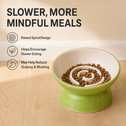 Handmade Elevated Ceramic Slow Feeder Bowl for Cats & Small Dogs