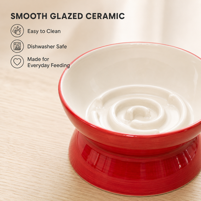 Handmade Elevated Ceramic Slow Feeder Bowl for Cats & Small Dogs