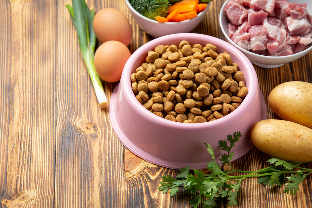 Dry food with raw meat and vegetables next to it