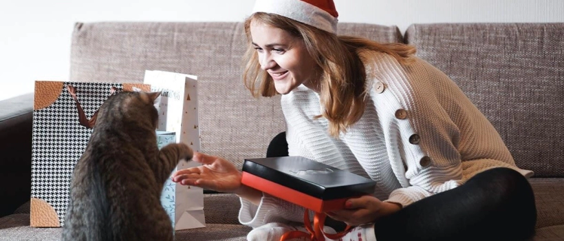 Protect Both Your Peace of Mind and the Aesthetics of Your Home: 2025 Christmas Gifts for Cats and Their Owners