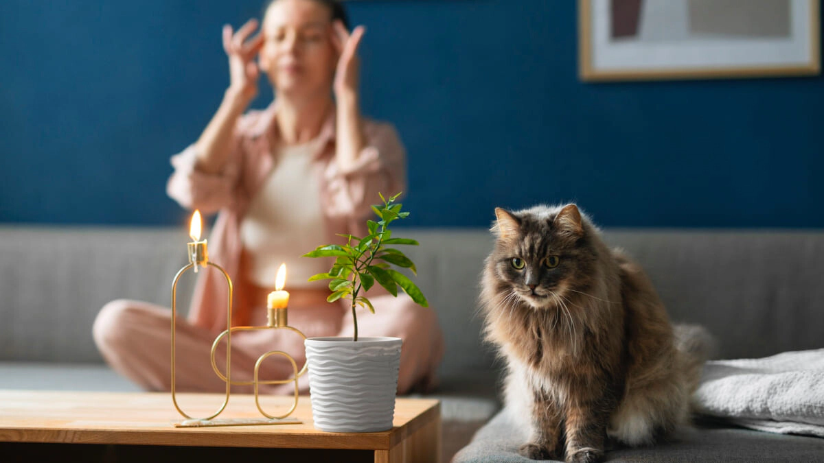 How Can We Keep Cats Away From Flower Pots?