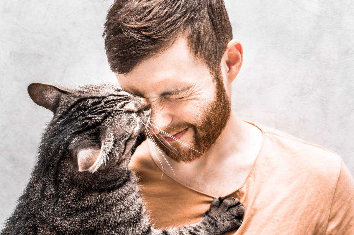 A tabby cat biting a man's nose