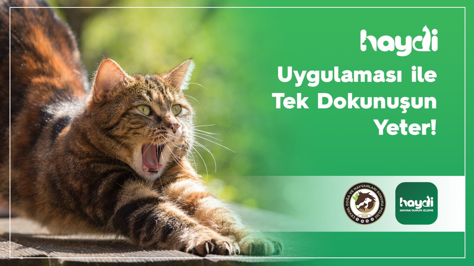 haydi animal status monitoring mobile application