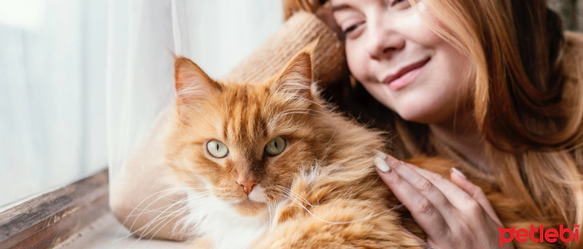 Most Common Mistakes Cat Owners Make