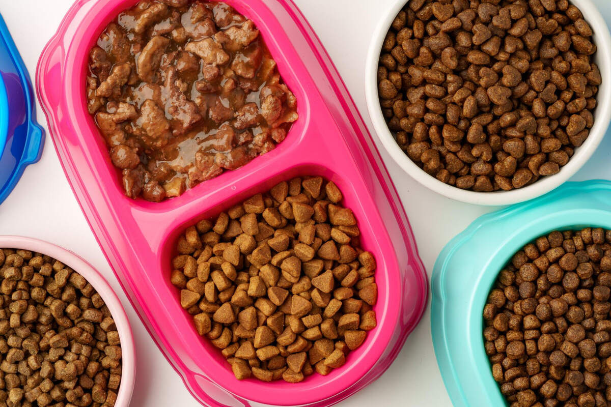 Different types of food in colorful food bowls