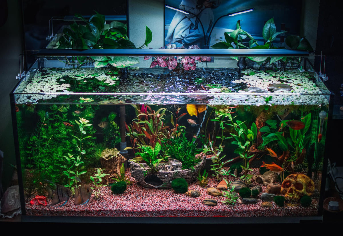 A large aquarium