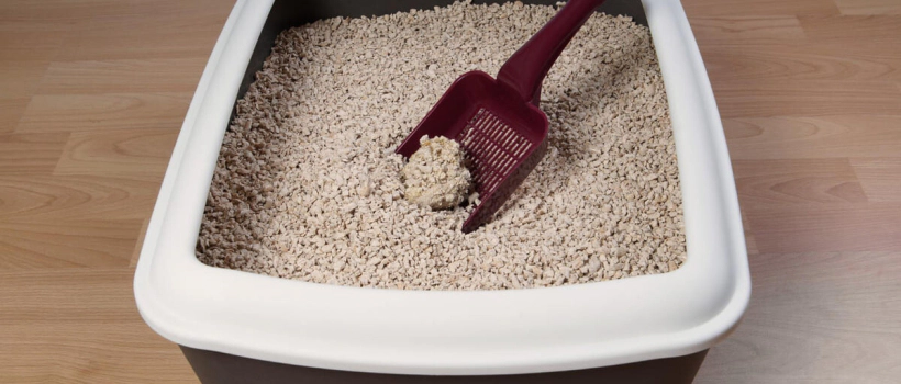 How to Clean Cat Litter? Cleaning Methods and Frequency