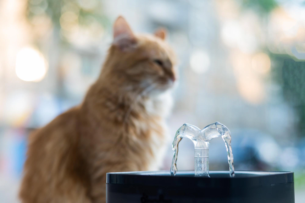 A water fountain for cats and a cat sitting behind it