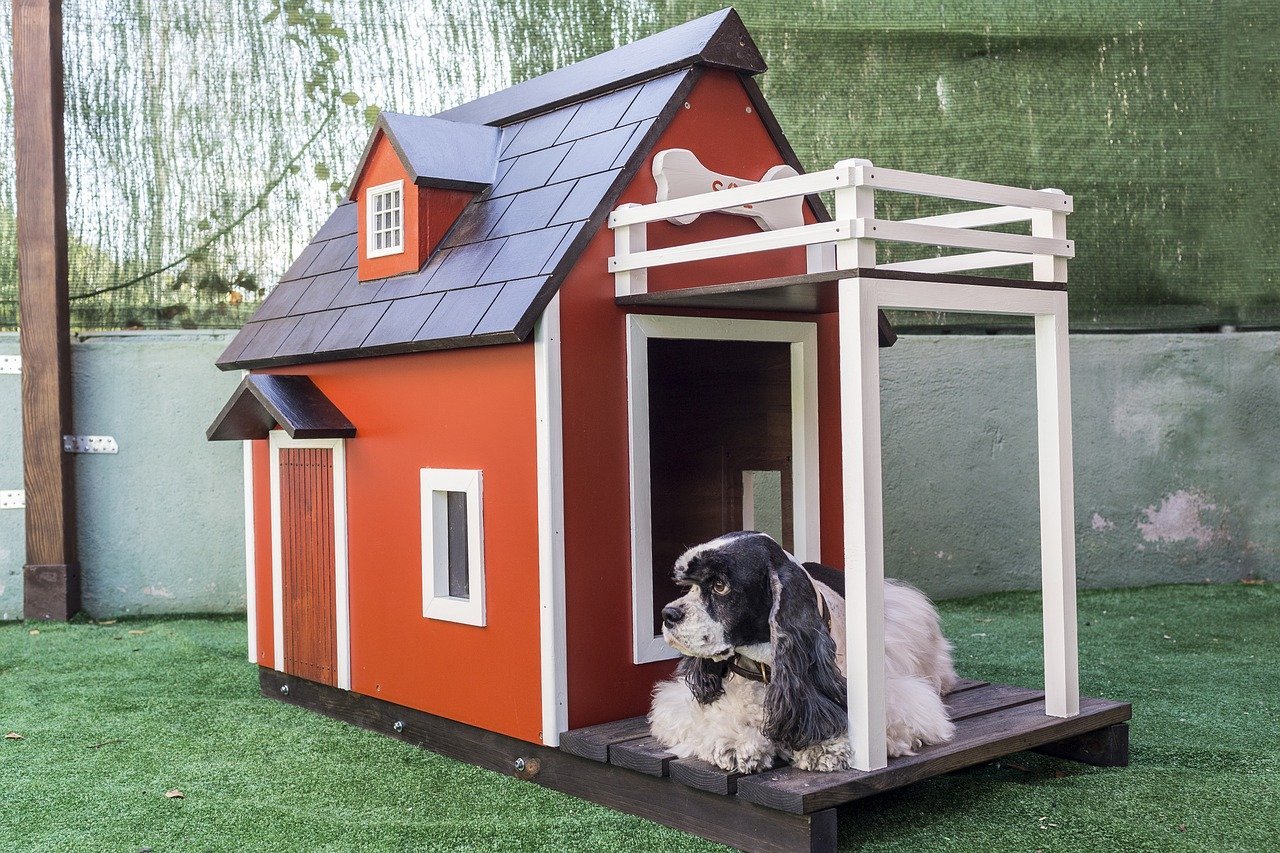 Black and white dog lying next to its kennel dog