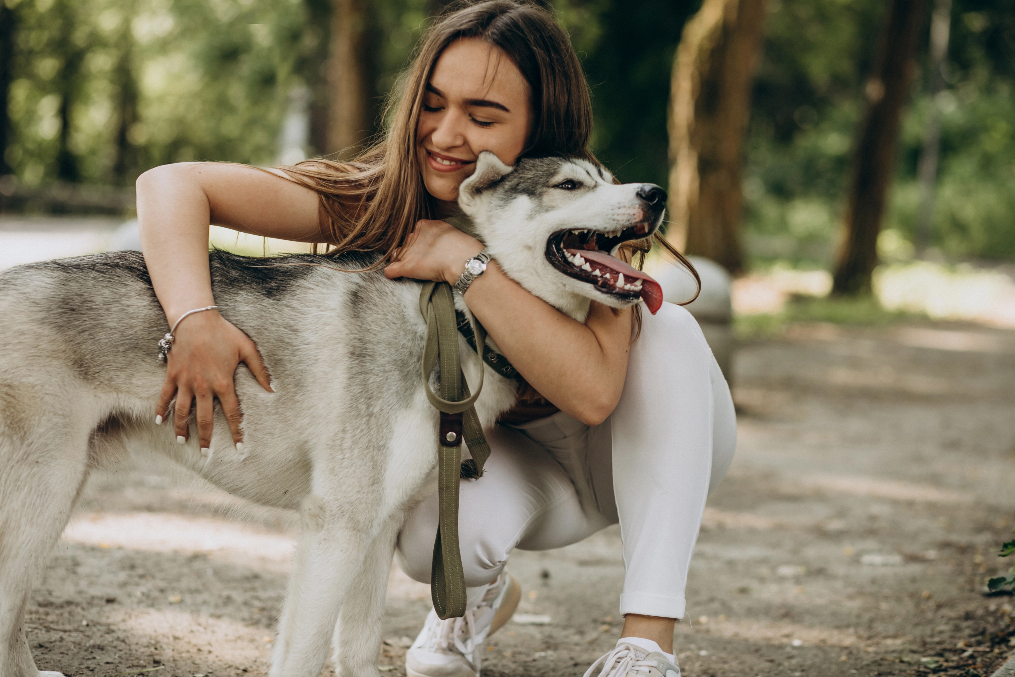 Difficulties of adopting a dog