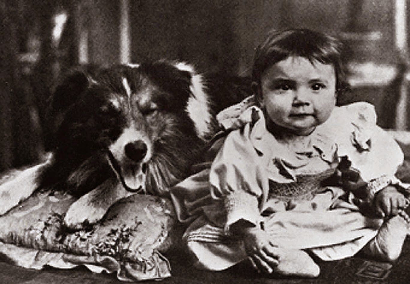 Small breed dog sitting next to a baby