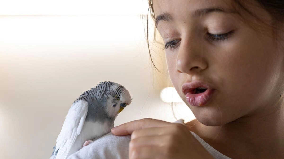 The Most Talkative Birds and Parrot Species That Surprise with Their Vocabulary