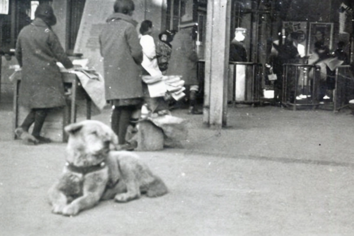 Hachiko sitting in front of the station