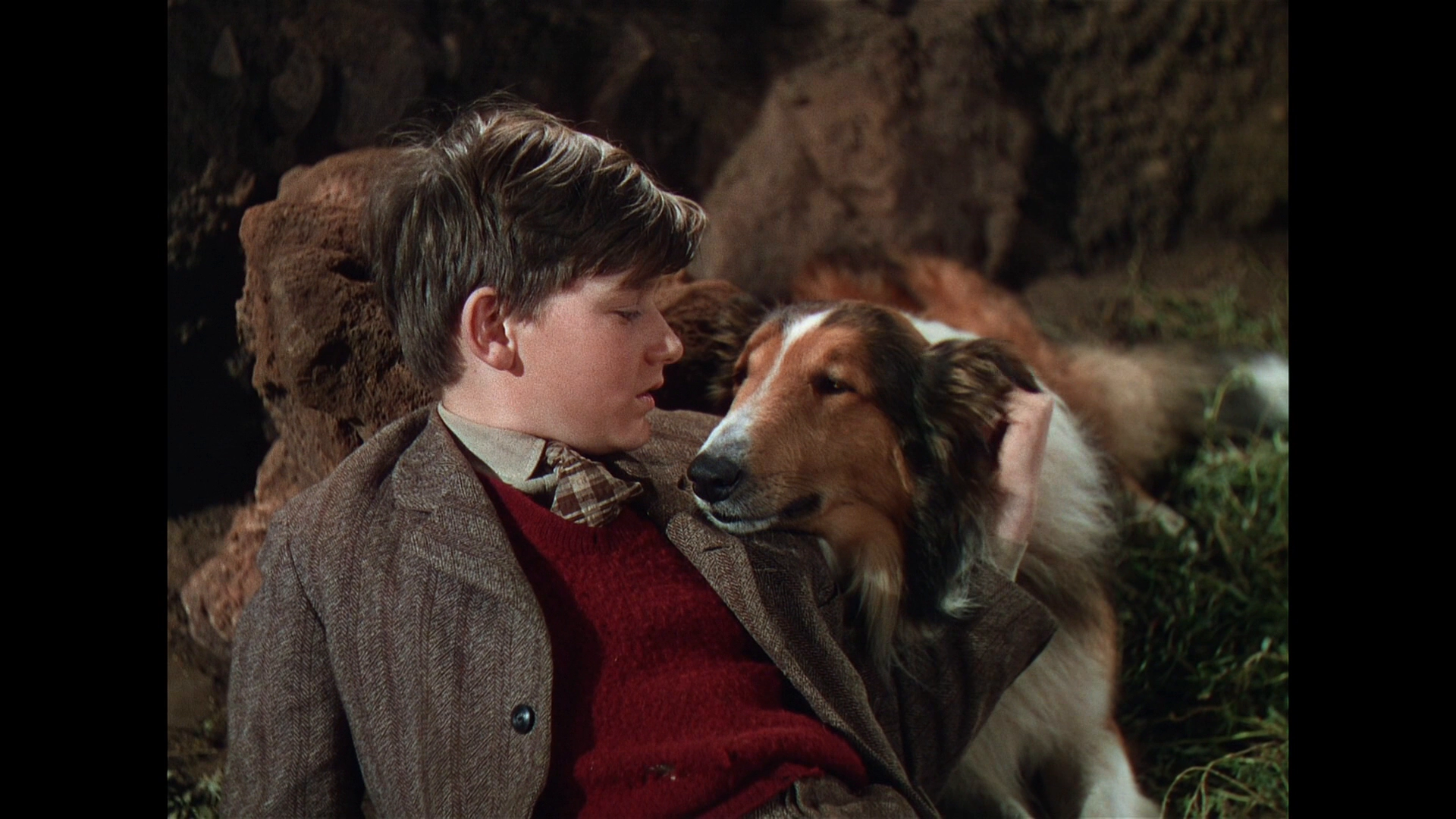 Dog and boy together