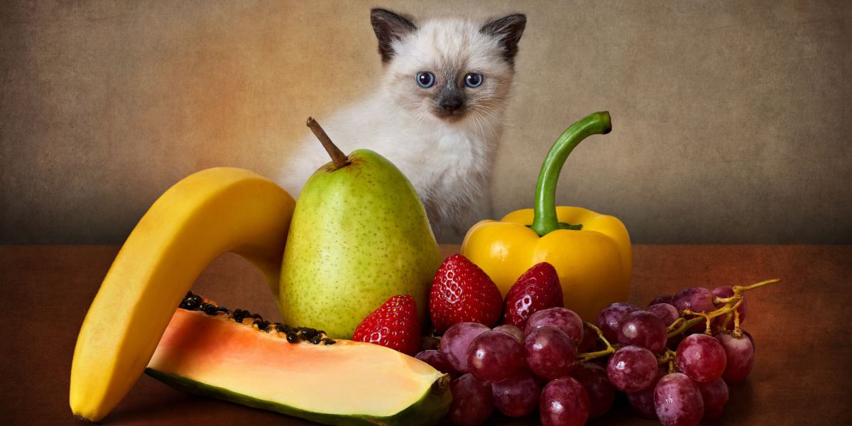 Cat surrounded by fruit