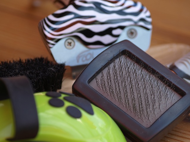 black fine-bristled dog comb