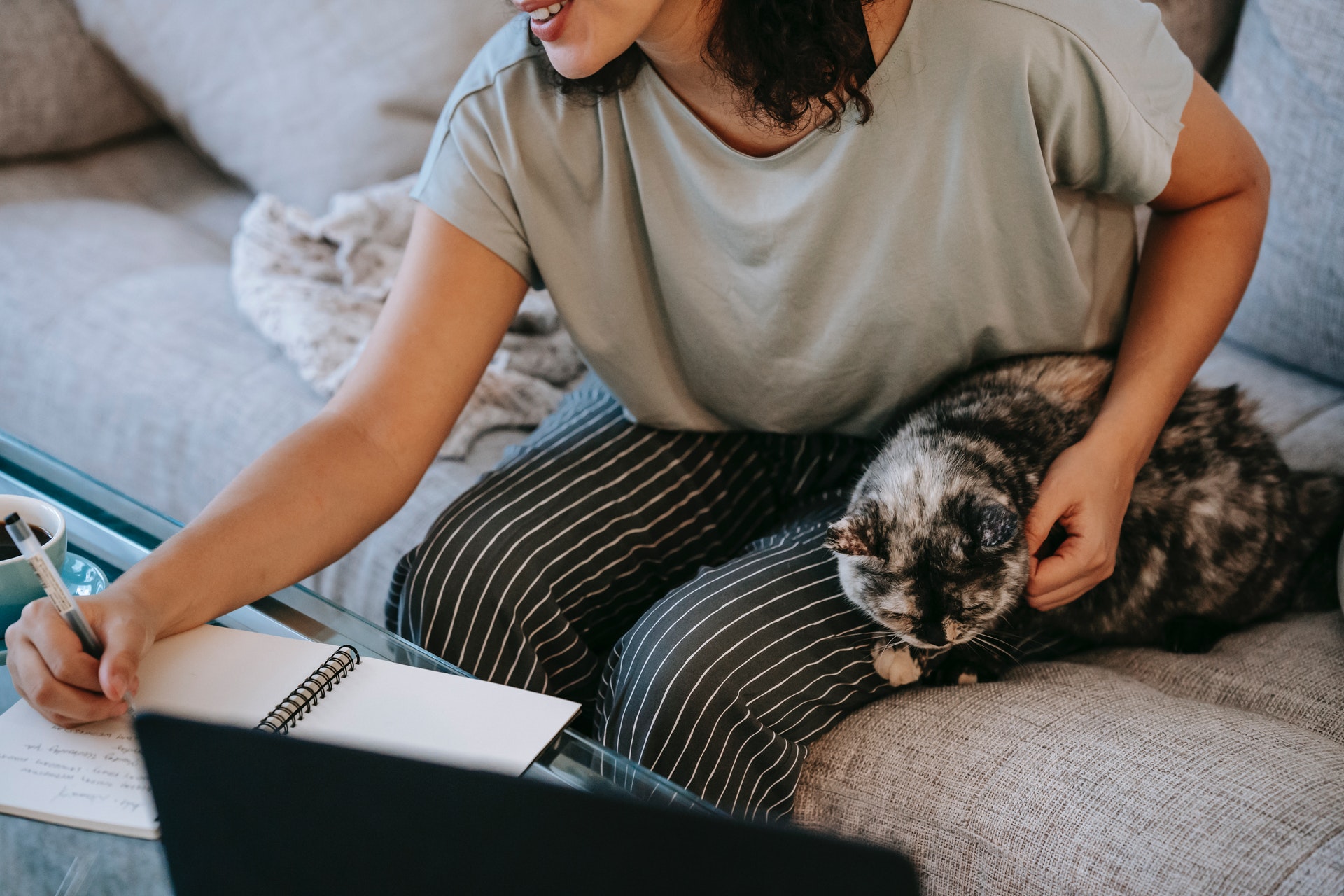A tabby cat sleeping next to a woman sitting in front of a computer