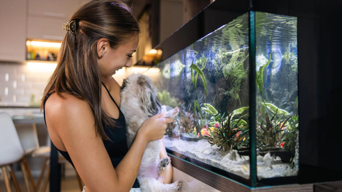 What are the Benefits of Keeping Fish in an Aquarium?