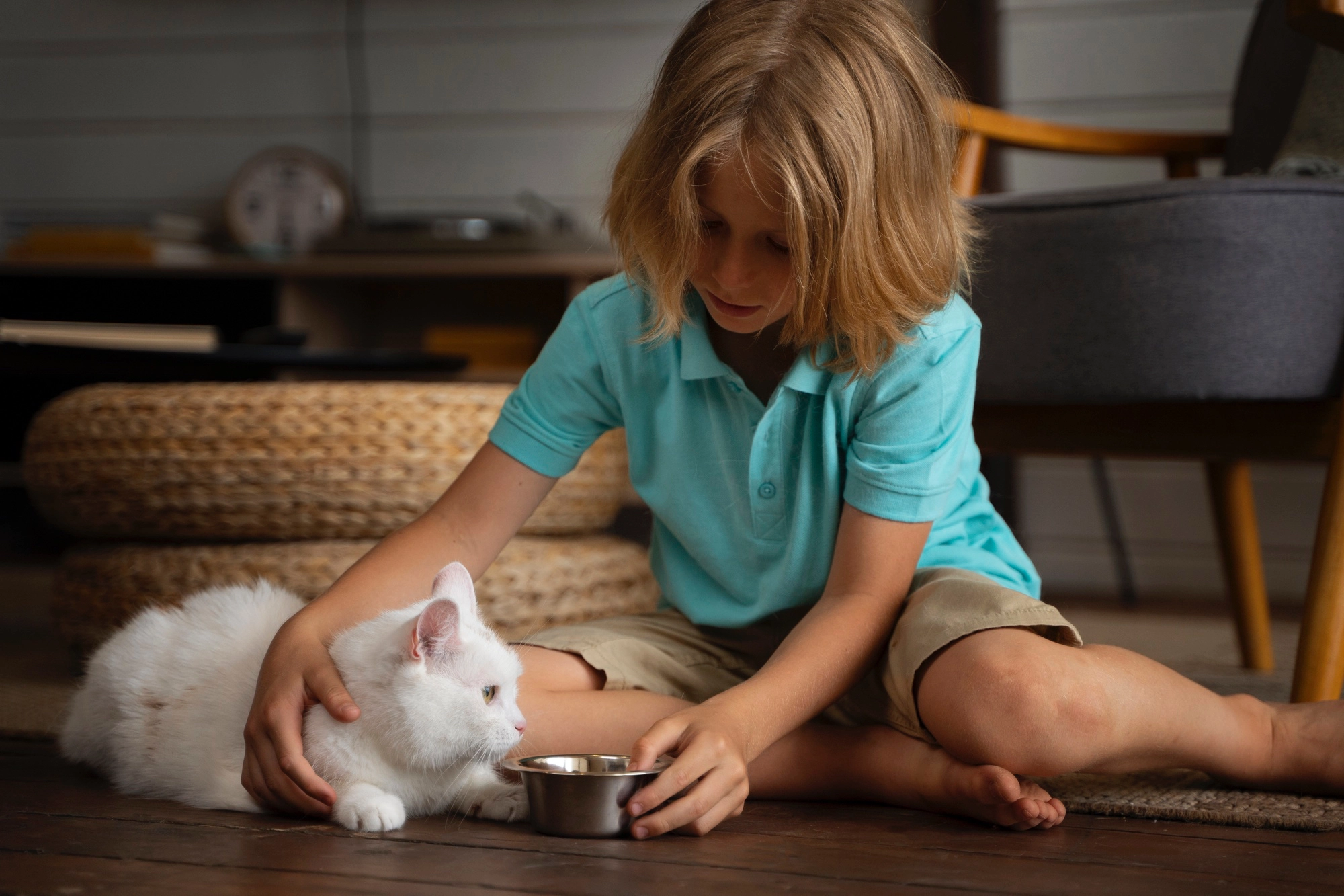 Child feeding a white kitten