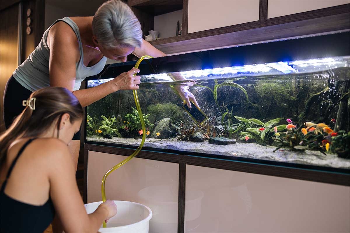 Two women cleaning the aquarium