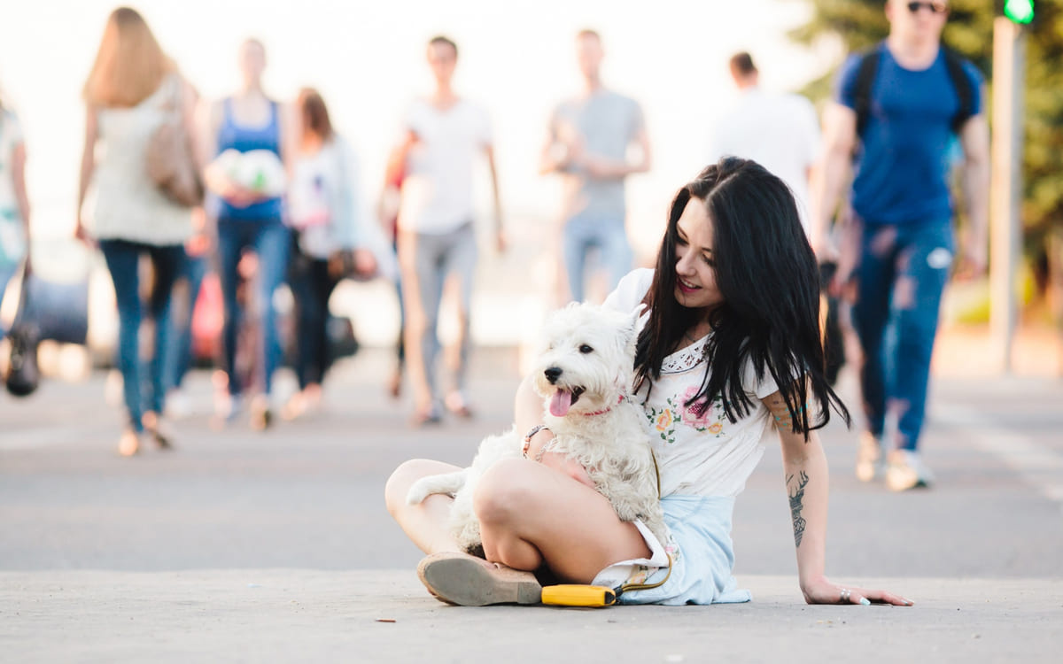 White-furred dog spending time outside with its owner