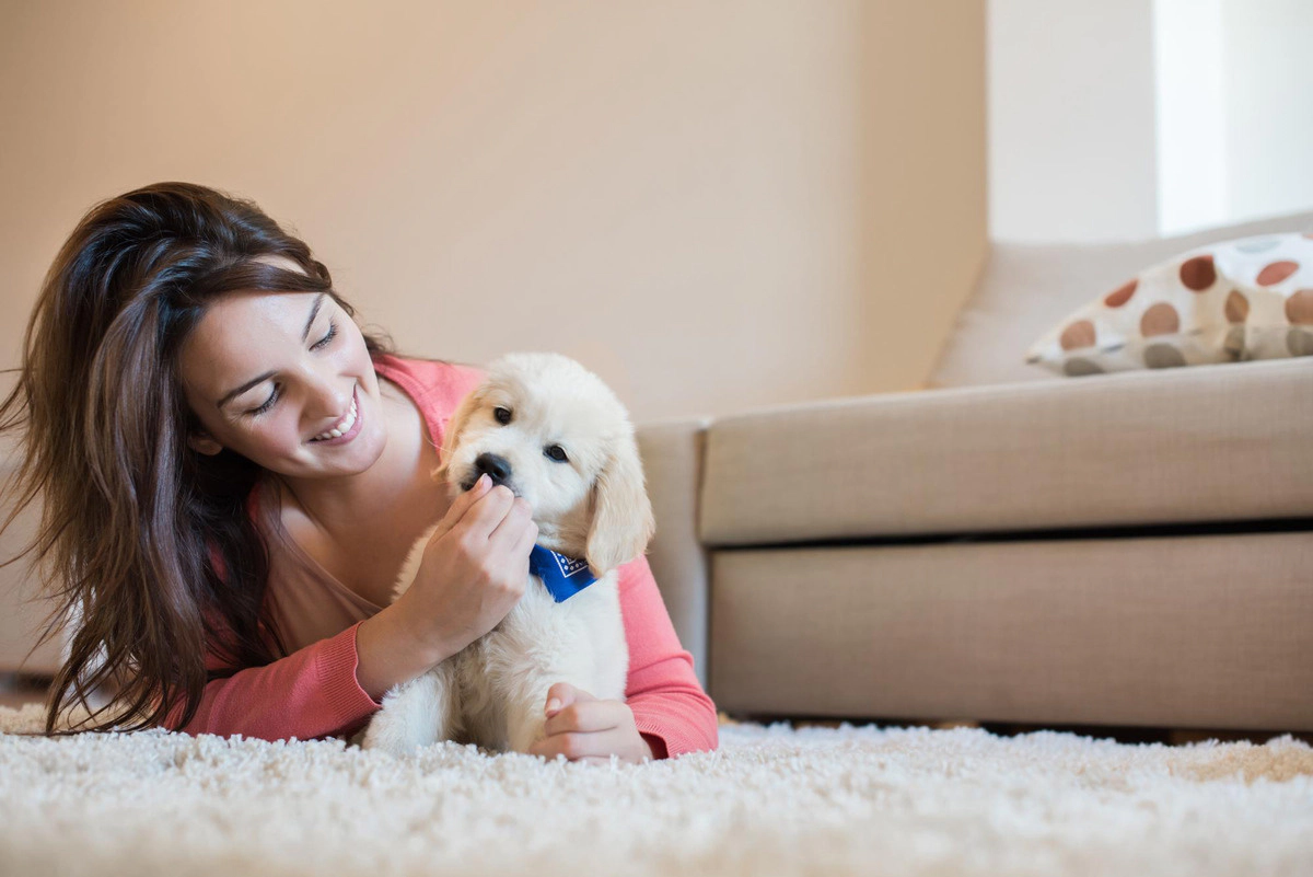 Puppy being fed by a young woman