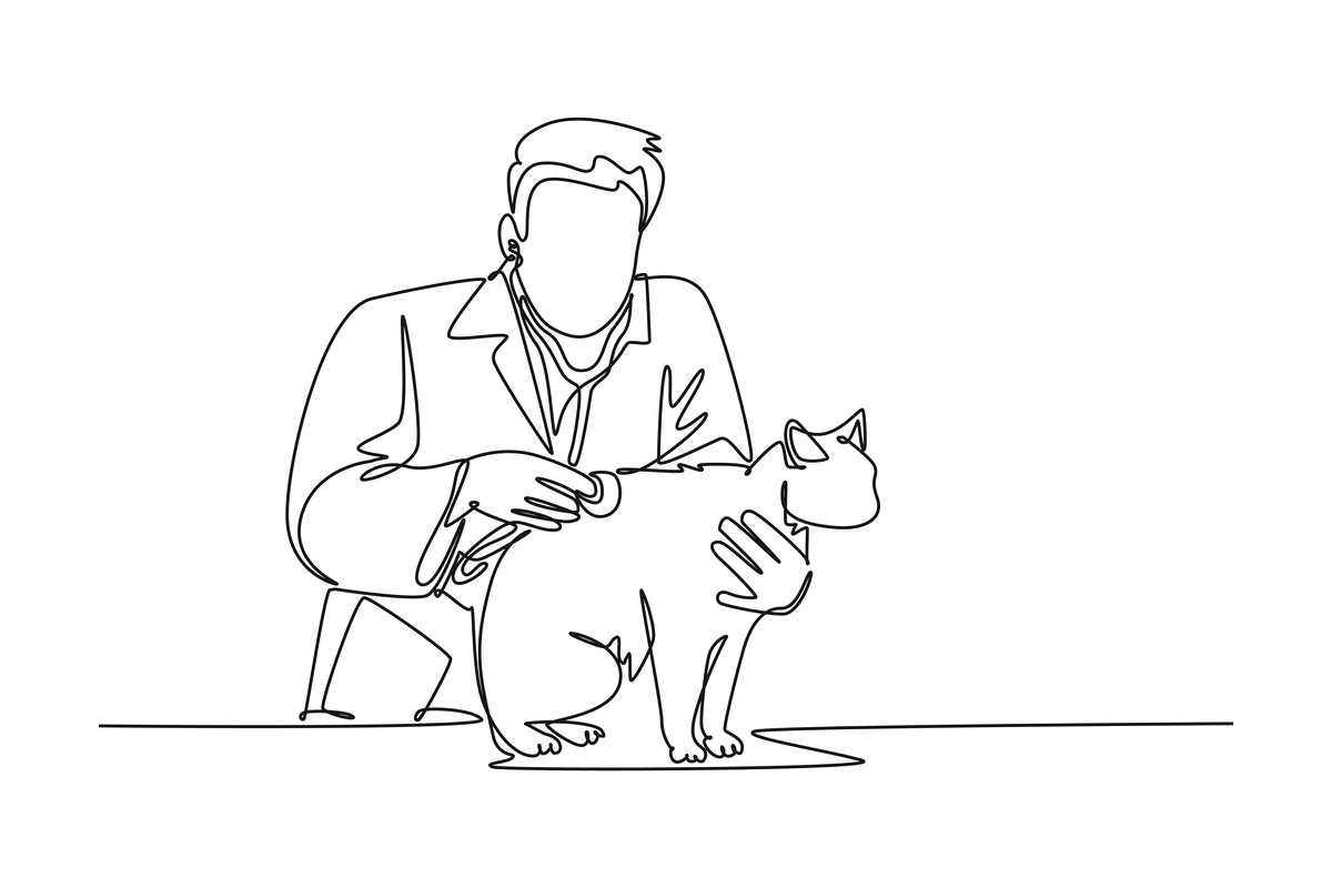 Cat and veterinarian drawing