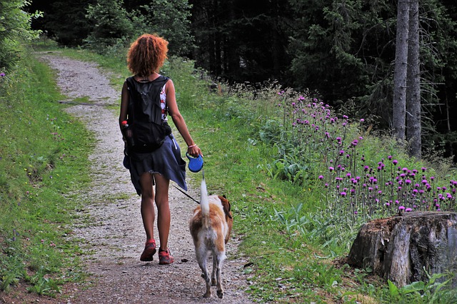 A woman walking with a dog on an automatic leash in a wooded area