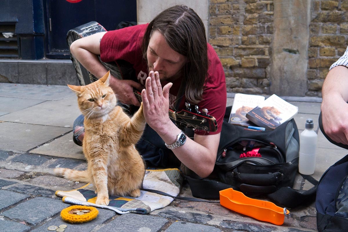 Street cat Bob and James Owen on the street