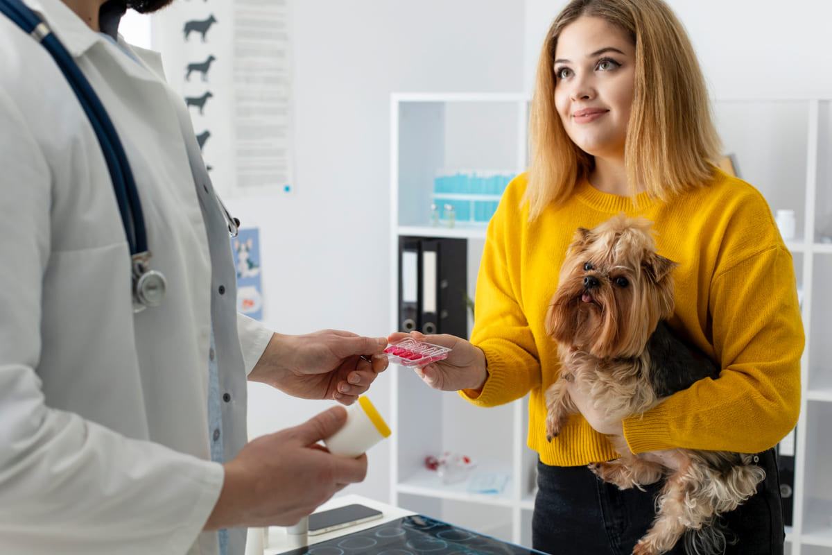 Small breed dog with supplements planned by a veterinarian