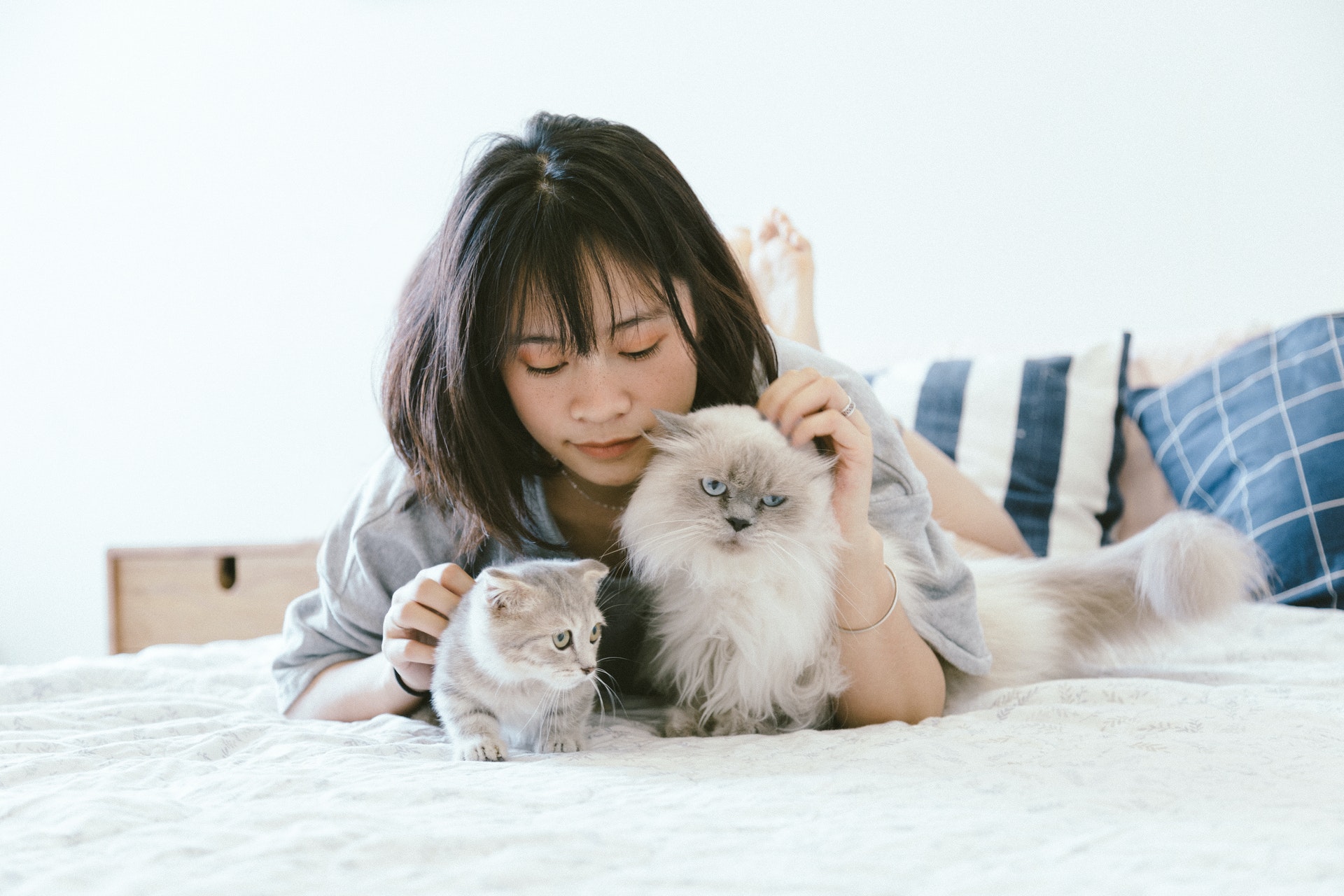 A girl lying in bed with two cats