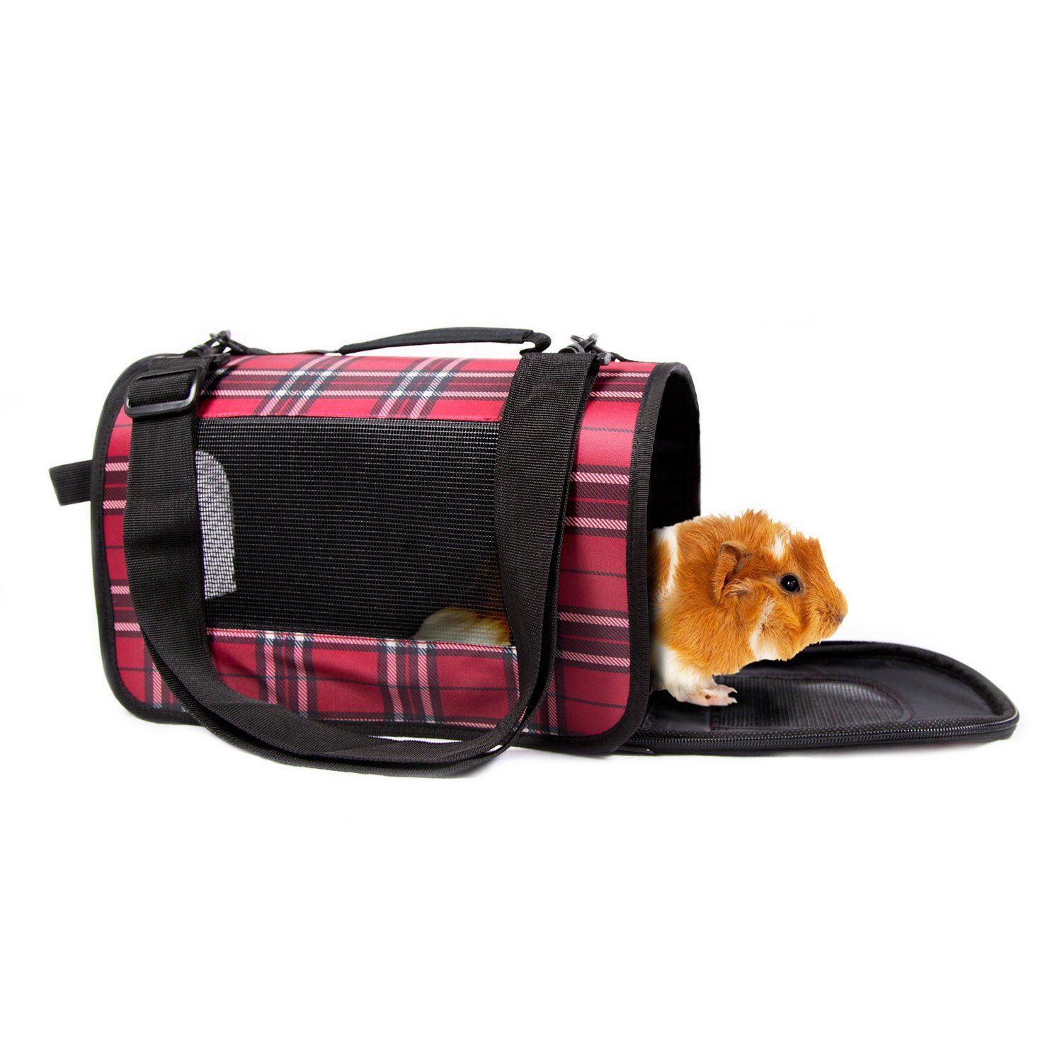Guinea pig in its carrier bag