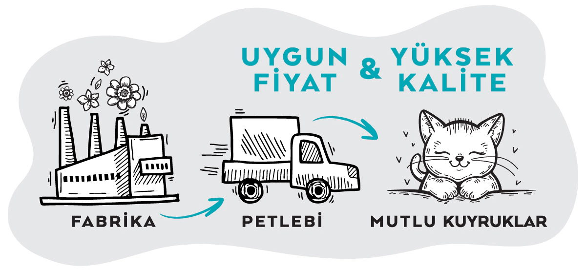 Varieties of Terralora Cat Food in Sauce