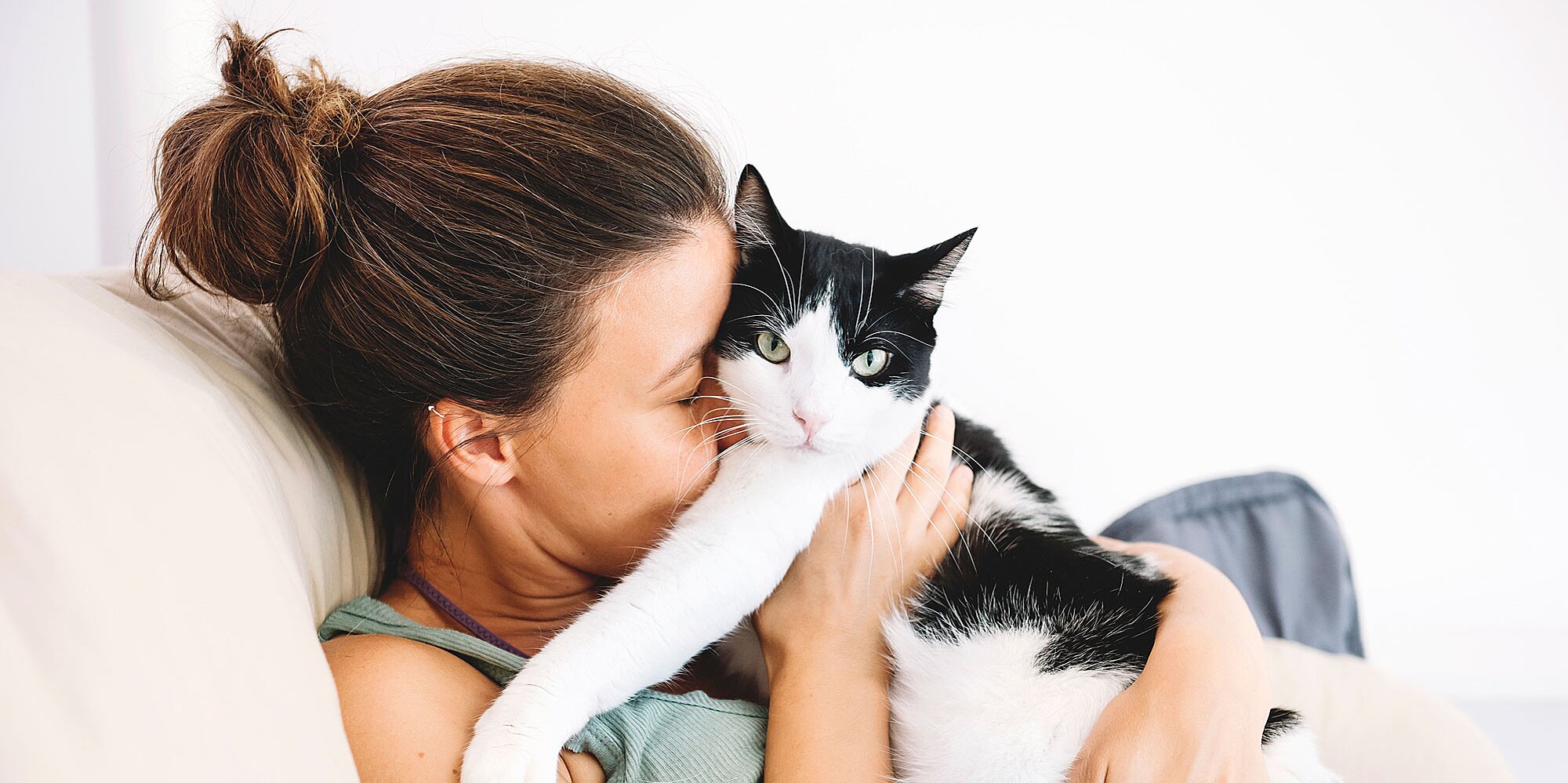 A black and white furry cat cuddling with its owner