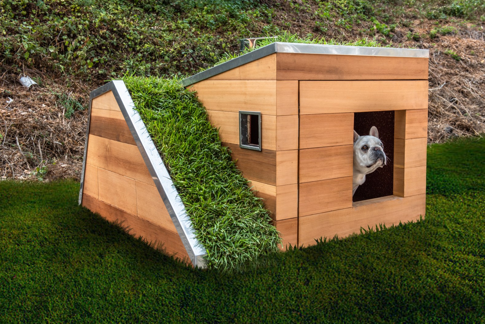 Dog watching the sky from its kennel
