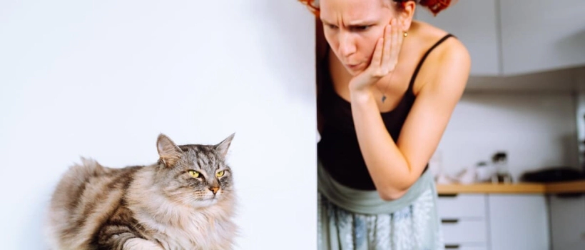 17 Allergy-Friendly Cat Breeds: Hypoallergenic Cat Breeds and Characteristics