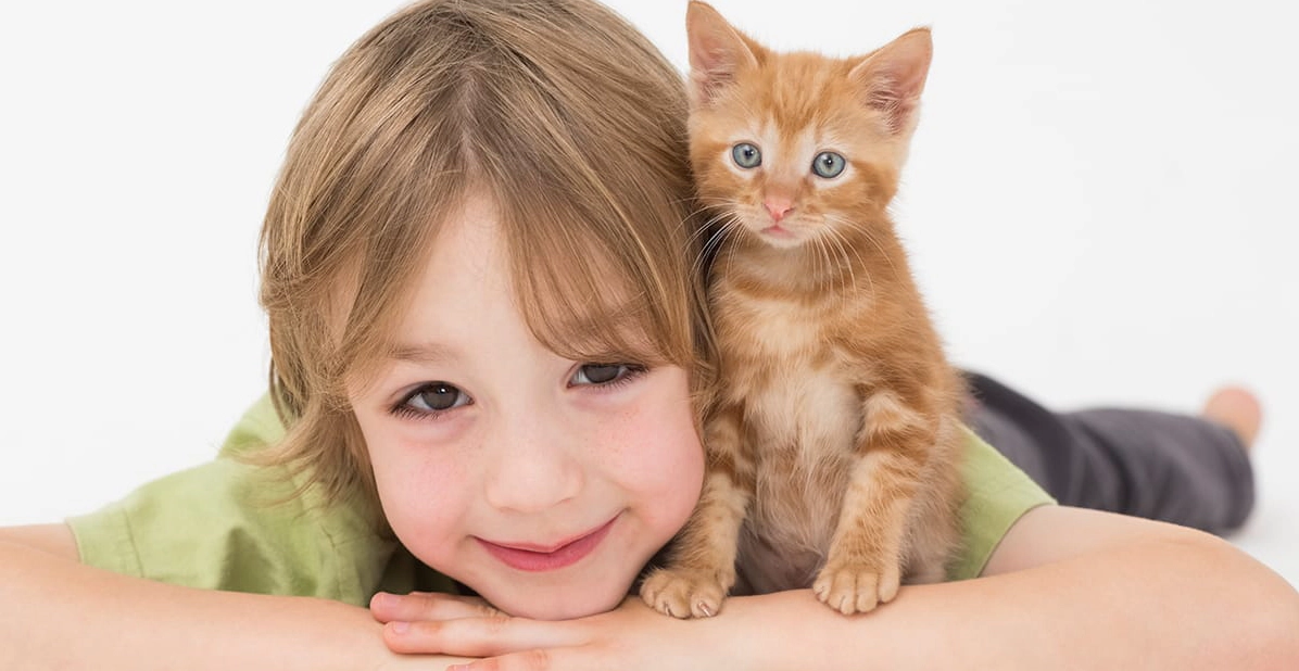 A boy laughing with a tabby kitten