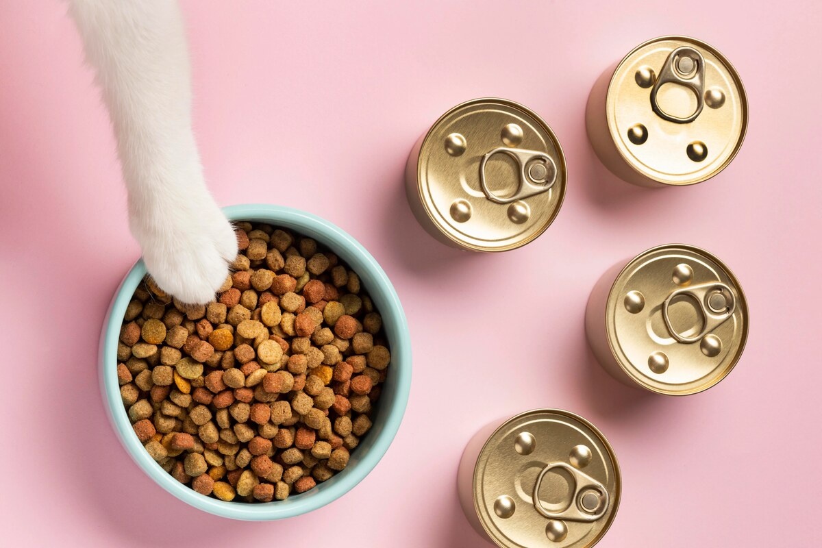 Dry cat food and canned cat food