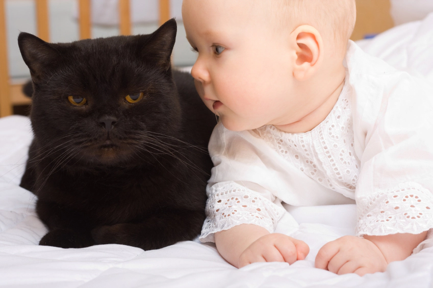 Cat sitting on the bed with a baby