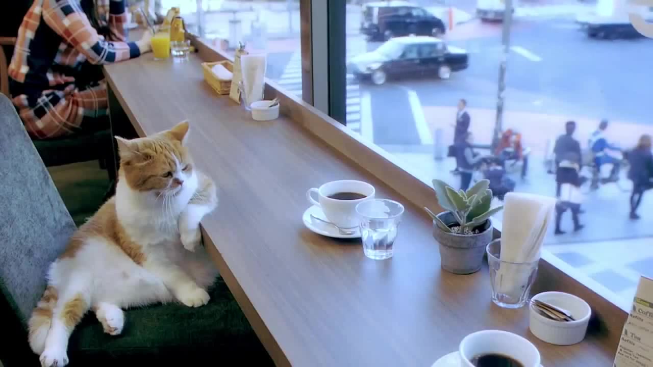 A cat leaning its arm on the counter where the tea is sitting