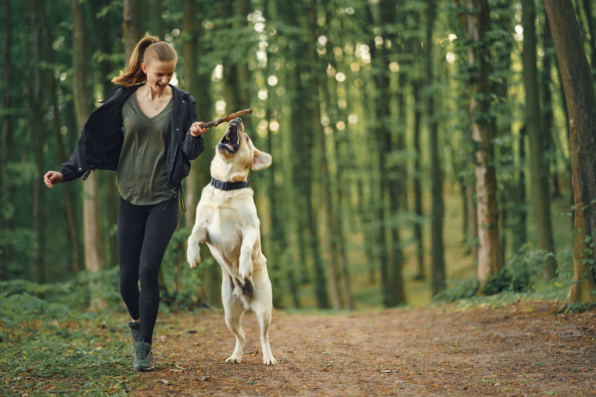 Woman playing with her dog in an open field