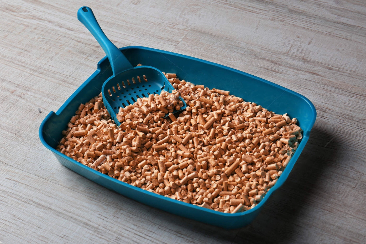 Pine pellets spilled in the cat litter box