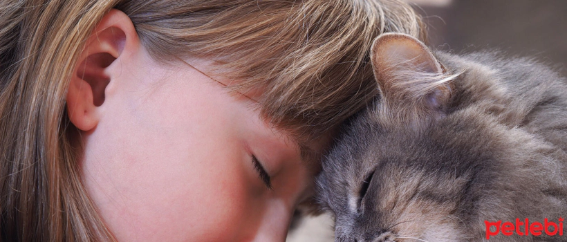 What Common Characteristics Do We Share with Cats?