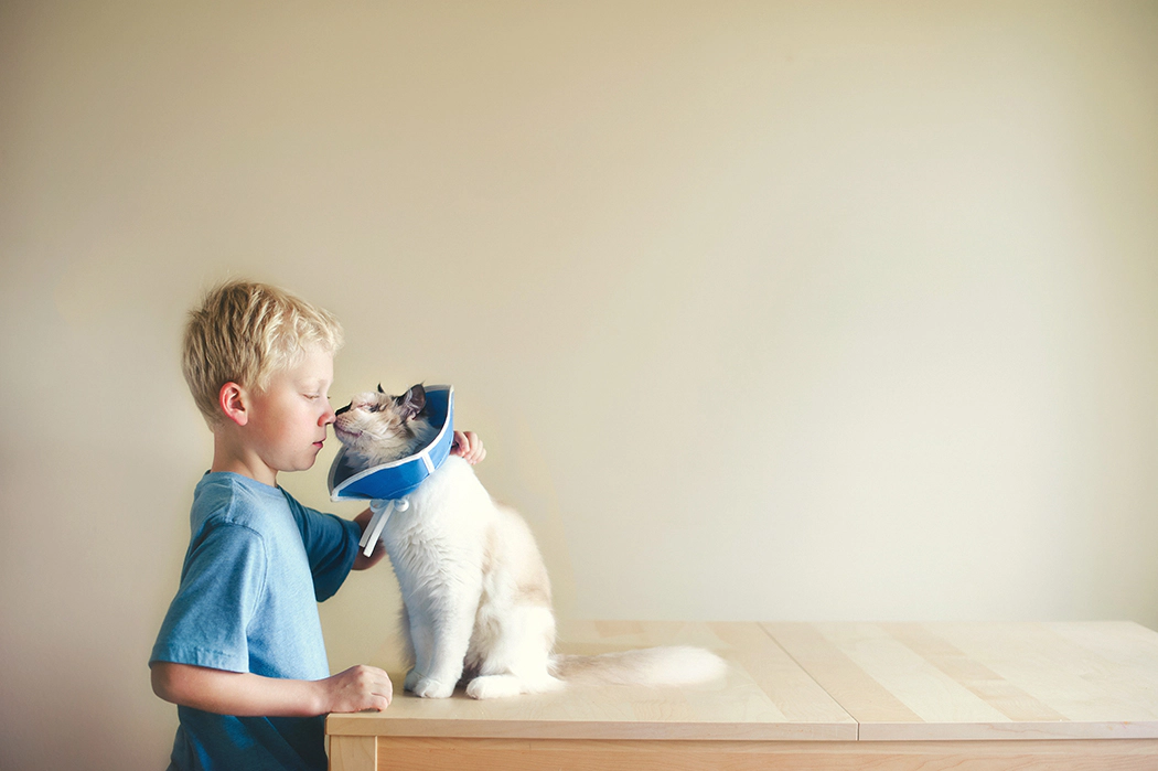 A boy interacting with a cat with a collar