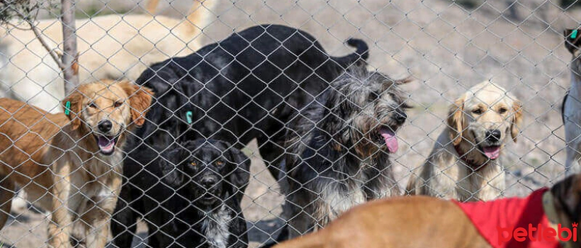 Let's Meet at the HEPAD Shelter Visit Event on October 8, 2023!