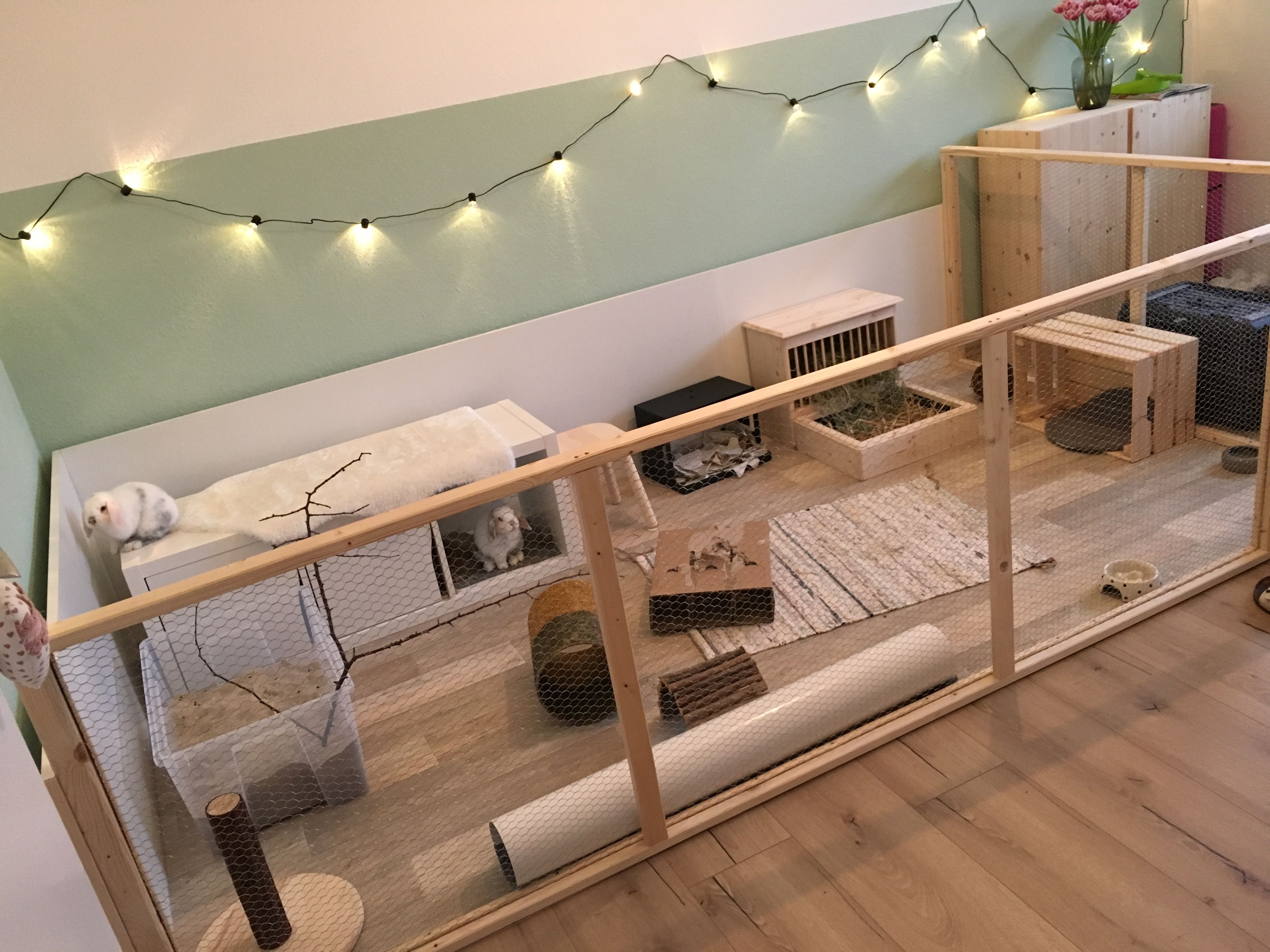 Custom-made rabbit cage