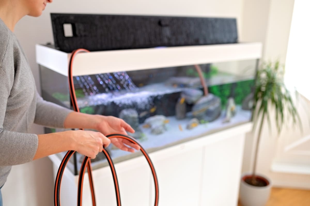 Aquarium cleaning with a hose