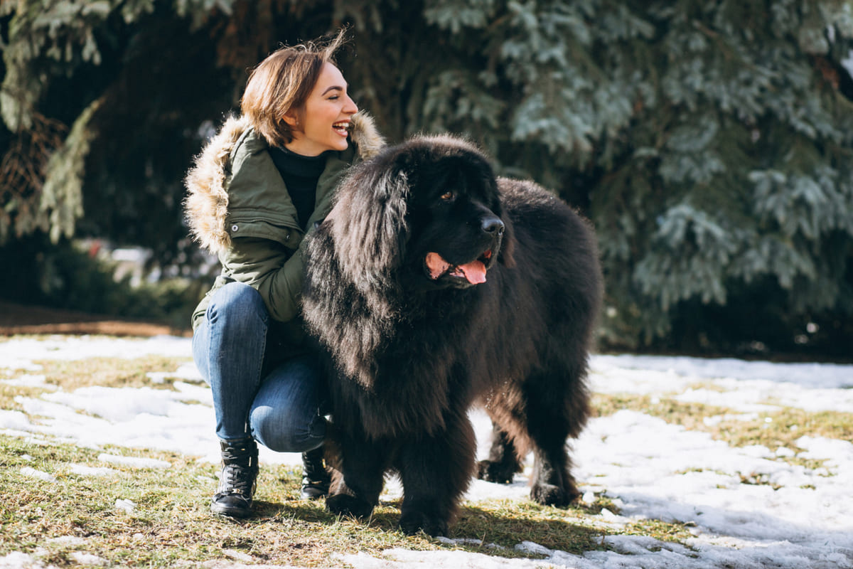 A woman crouching and a large black-furred dog standing beside her