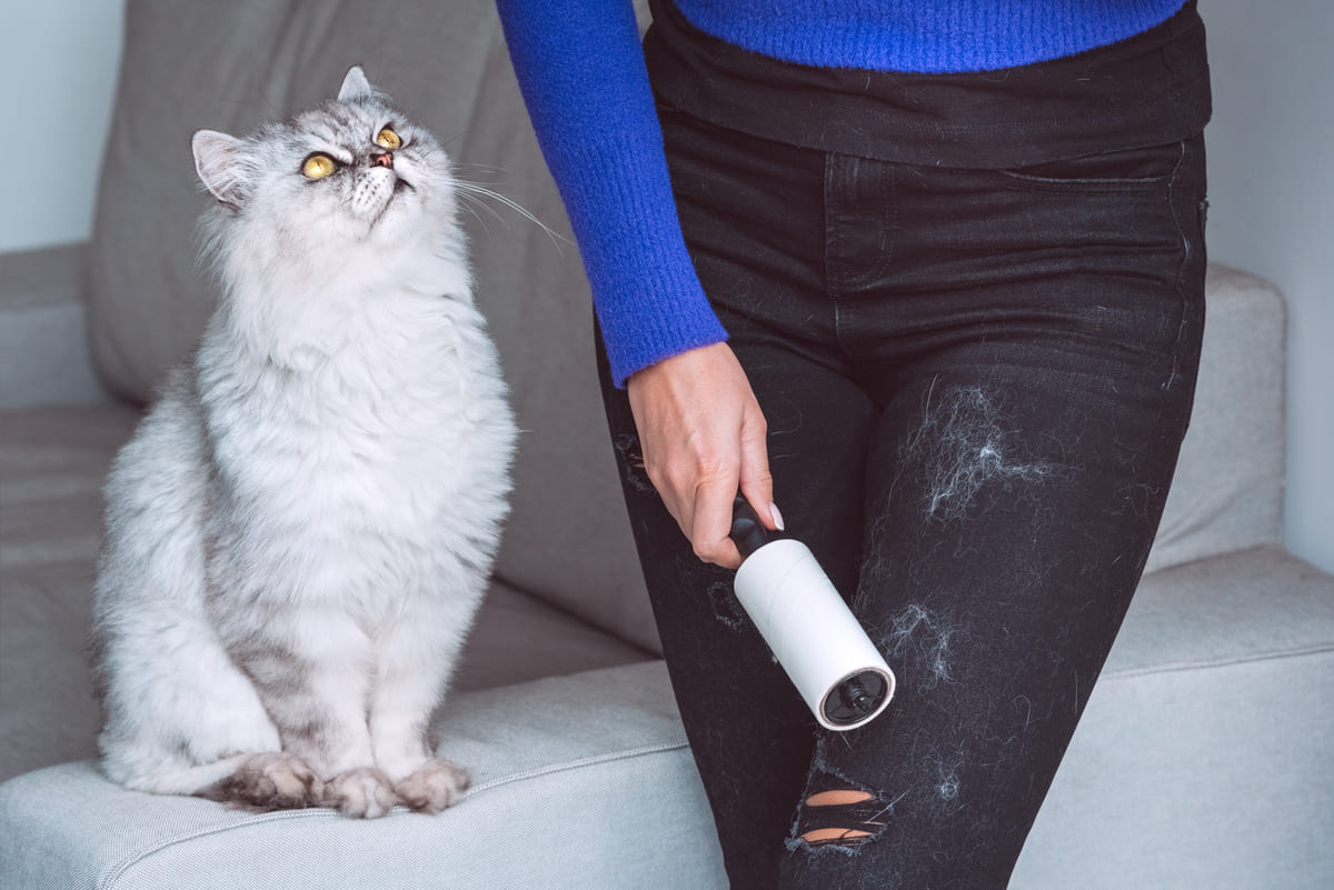 Woman cleaning her cat-haired pants with a sticky roller