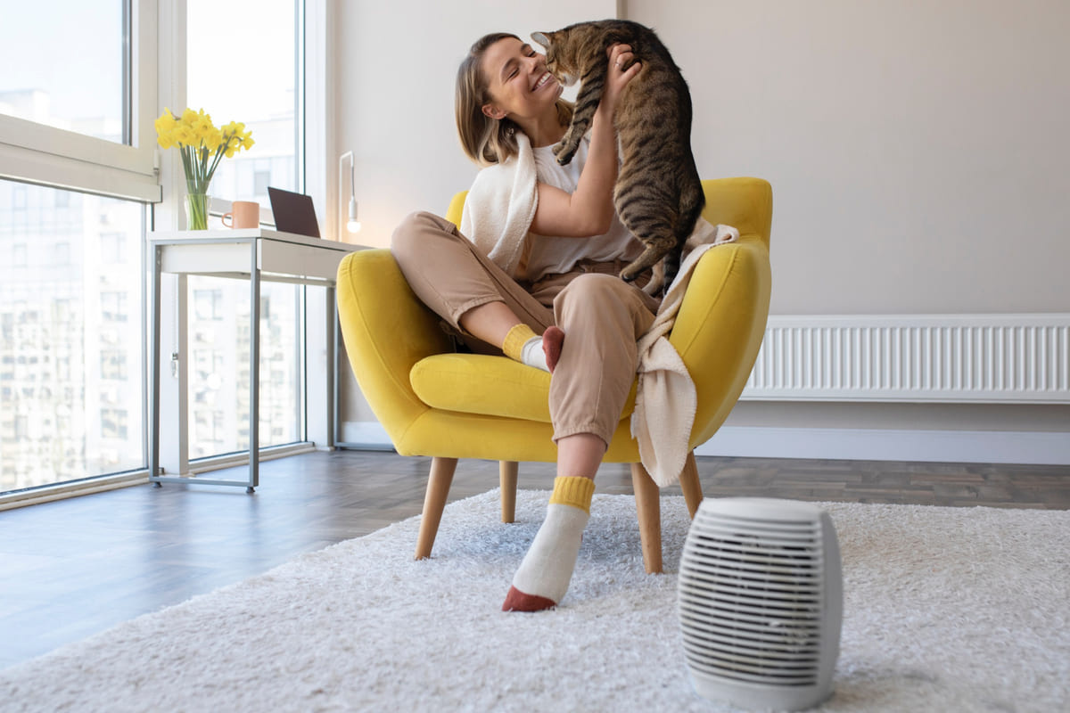 Cat spending time with its owner in a room with an air purifier